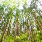 奈良県の気候風土にあった快適な家づくりとはのイメージ